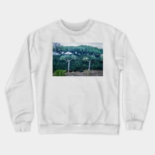 dragon trees against green hedge Crewneck Sweatshirt